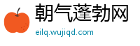 朝气蓬勃网